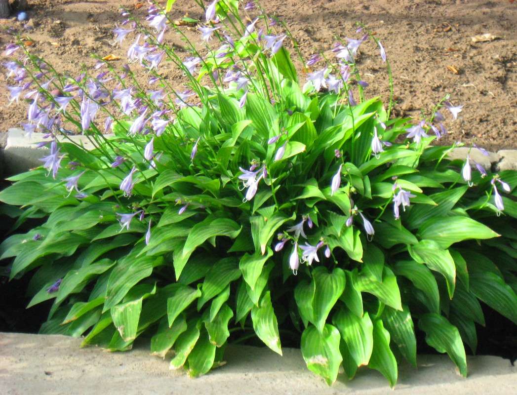 ����� ����� Natali  ��������� �� PhotoGeek.ru #������ ��� ������� #����� ��������������