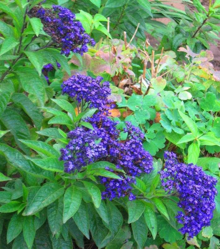 ... ����� Natali  ��������� �� PhotoGeek.ru #������ ��� ������� #����� ��������������