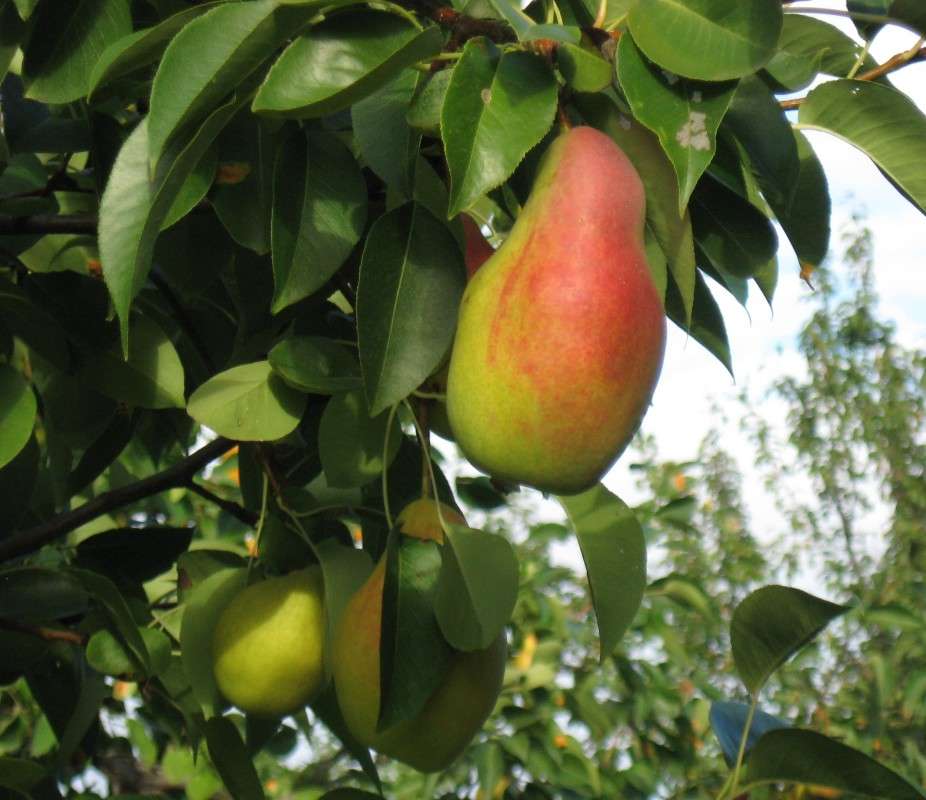 ... ����� Natali  ��������� �� PhotoGeek.ru #������ ��� ������� #����� ��������������