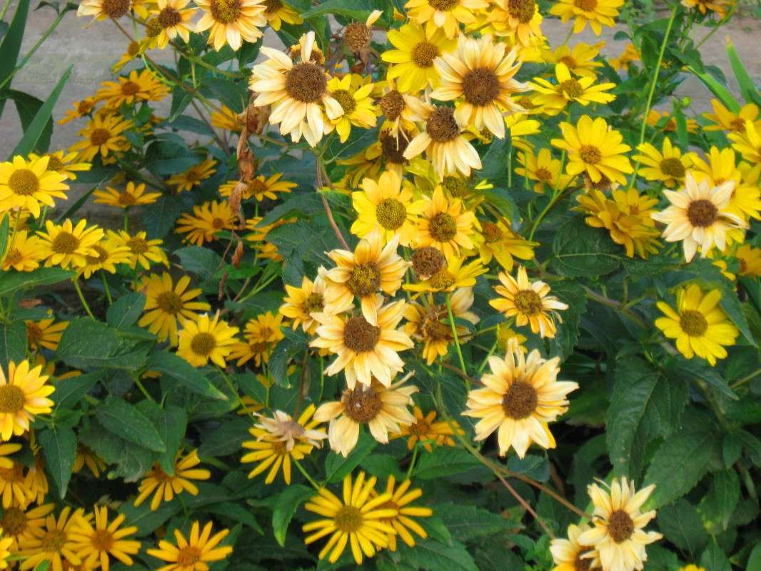 ������� ����� ����� Natali  ��������� �� PhotoGeek.ru #������ ��� ������� #����� ��������������