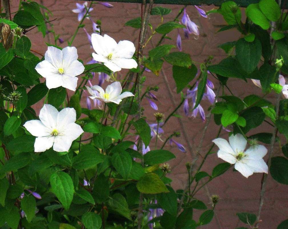 �������� ����� Natali  ��������� �� PhotoGeek.ru #������ ��� ������� #����� ��������������