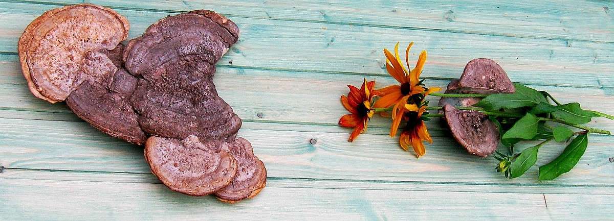 ����, ������������ �� ���� ����������........))) ����� Natali  ��������� �� PhotoGeek.ru #��������� #������ ��� �������