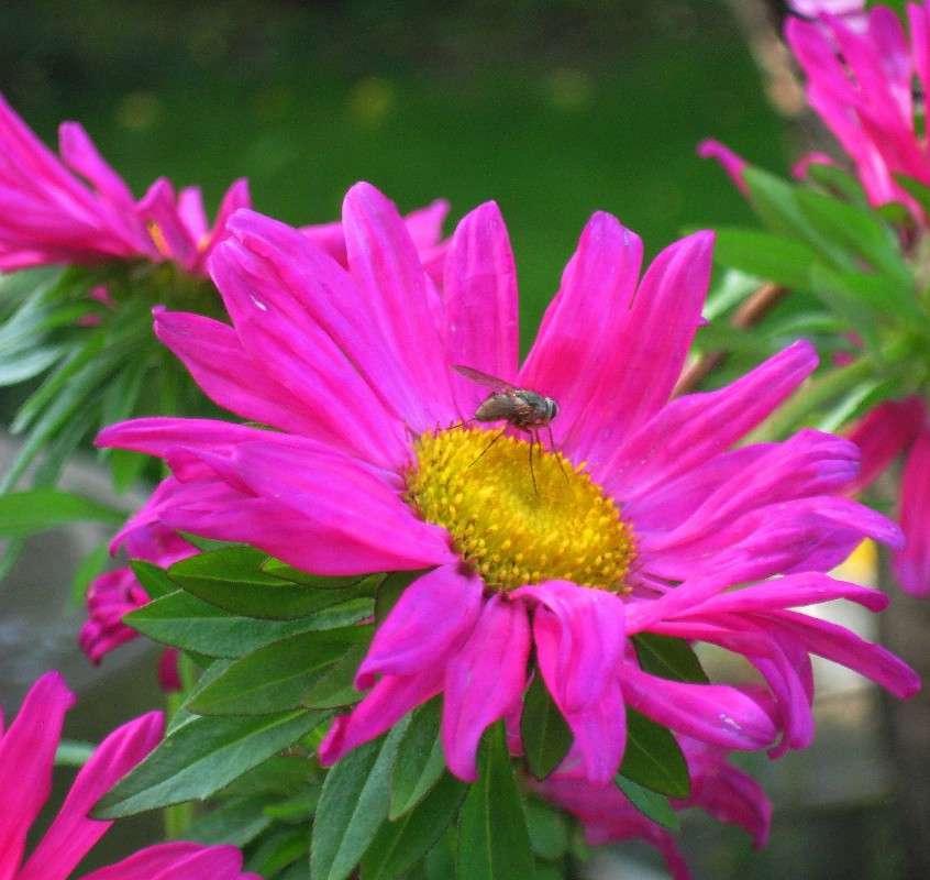 � ��� ��� ���� ���, ��� ����� ?! ����� Natali  ��������� �� PhotoGeek.ru #�������� ��� #������ ��� ������� #����� ��������������