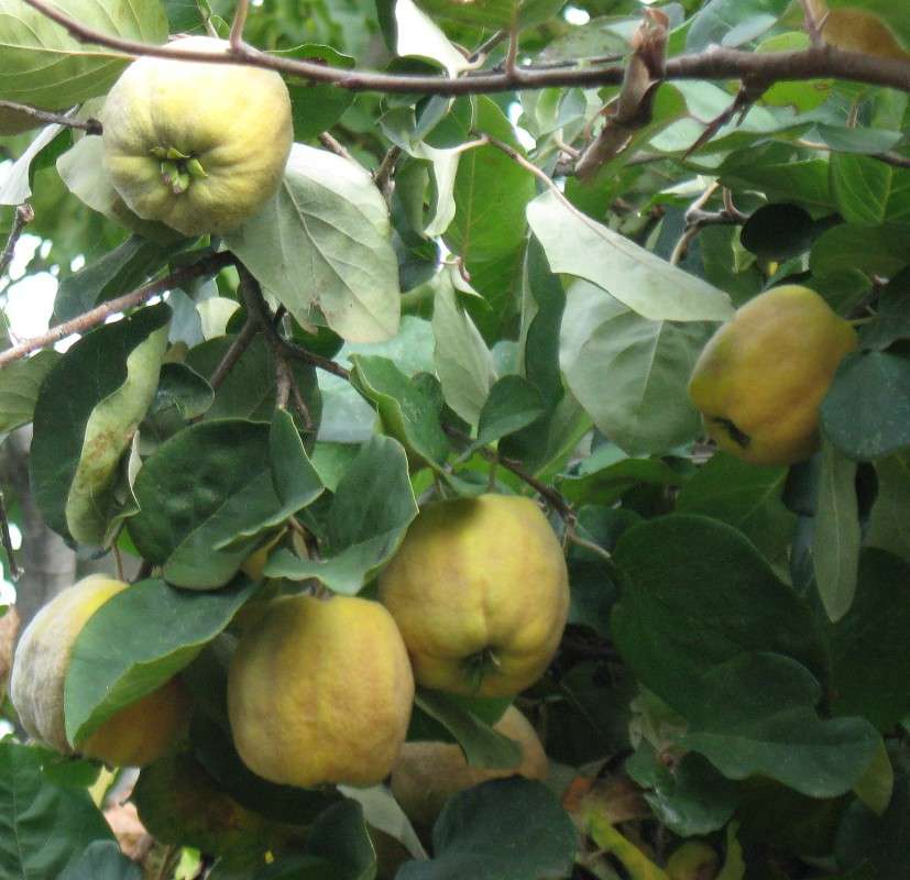 ���� ����� Natali  ��������� �� PhotoGeek.ru #������ ��� ������� #����� ��������������