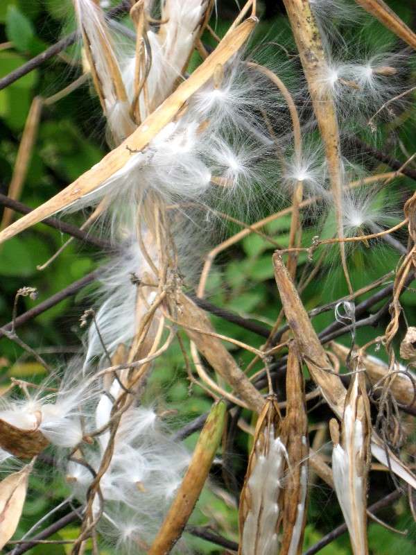 �� ���������, �� ��� ��.............(������� �� �������) ����� Natali  ��������� �� PhotoGeek.ru #������ ��� ������� #����� ��������������