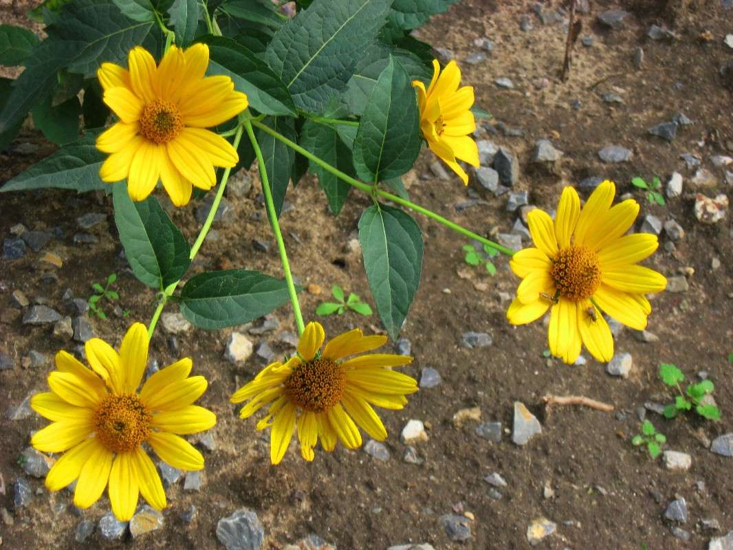 �������... ����� Natali  ��������� �� PhotoGeek.ru #������ ��� ������� #����� ��������������