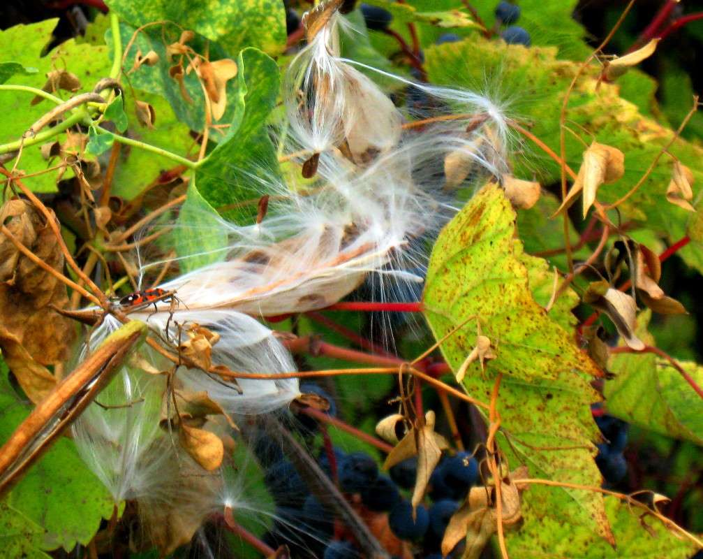 ������� �����..... ����� Natali  ��������� �� PhotoGeek.ru #�������� ��� #������ ��� ������� #����� ��������������