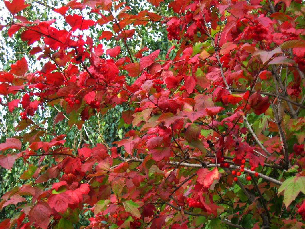 ������ ������� ����� Natali  ��������� �� PhotoGeek.ru #������ ��� ������� #����� ��������������