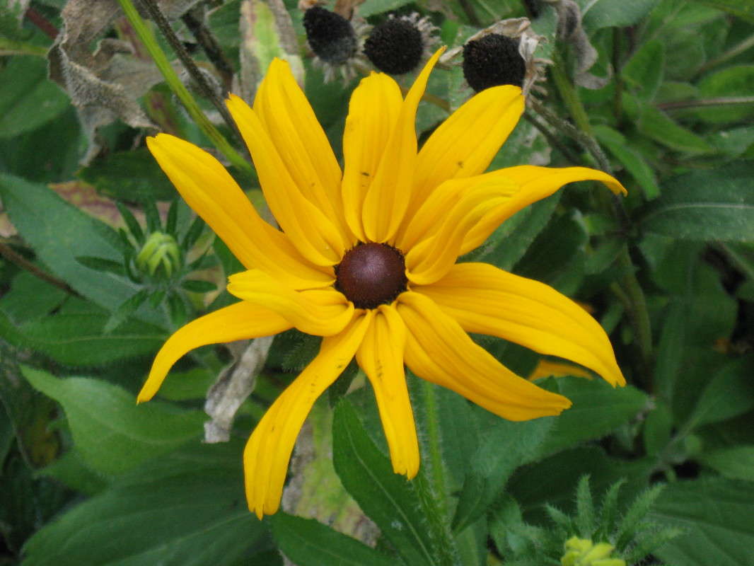 ��������� ����� Natali  ��������� �� PhotoGeek.ru #������ ��� ������� #����� ��������������