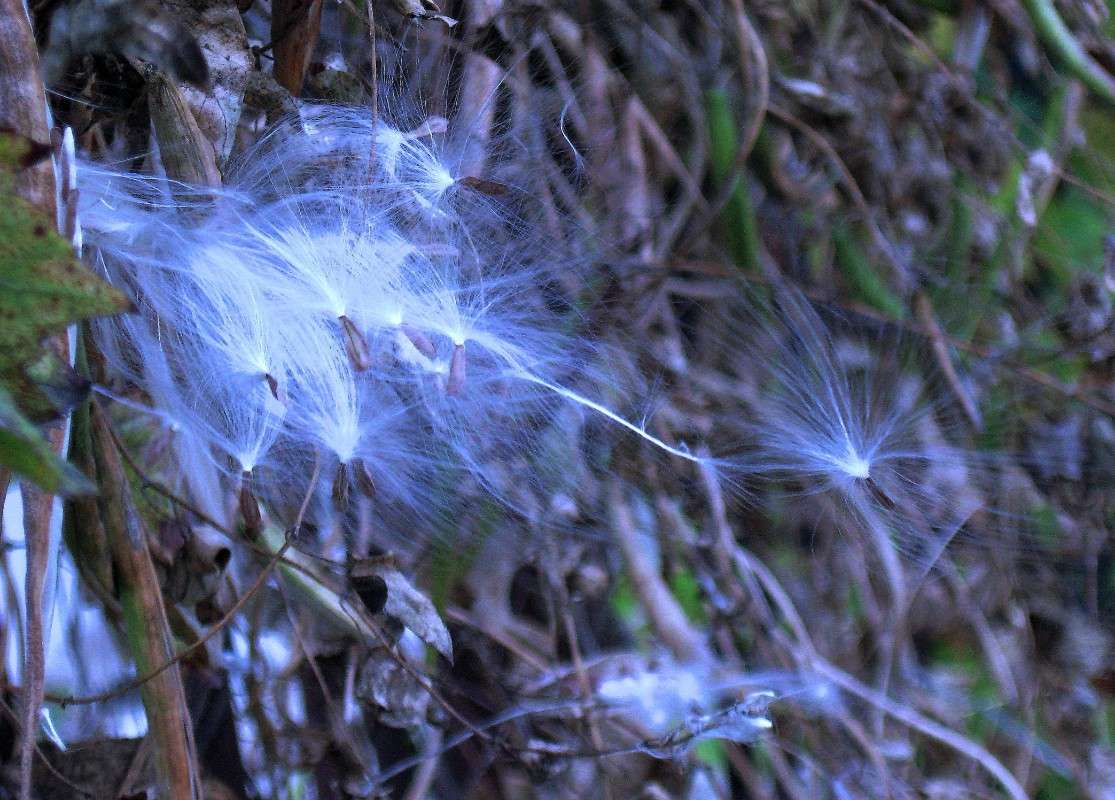 �� ���������, �� �� ��.......(������� �� �������) 2 ����� Natali  ��������� �� PhotoGeek.ru #������ ��� ������� #����� ��������������