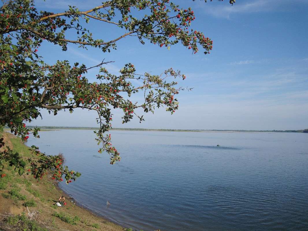 ... ����� Natali  ��������� �� PhotoGeek.ru #������ ��� �������