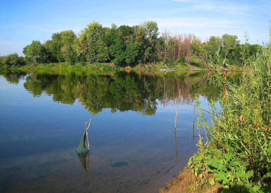 ����� �����. ))) ����� Natali  ��������� �� PhotoGeek.ru #������ ��� �������