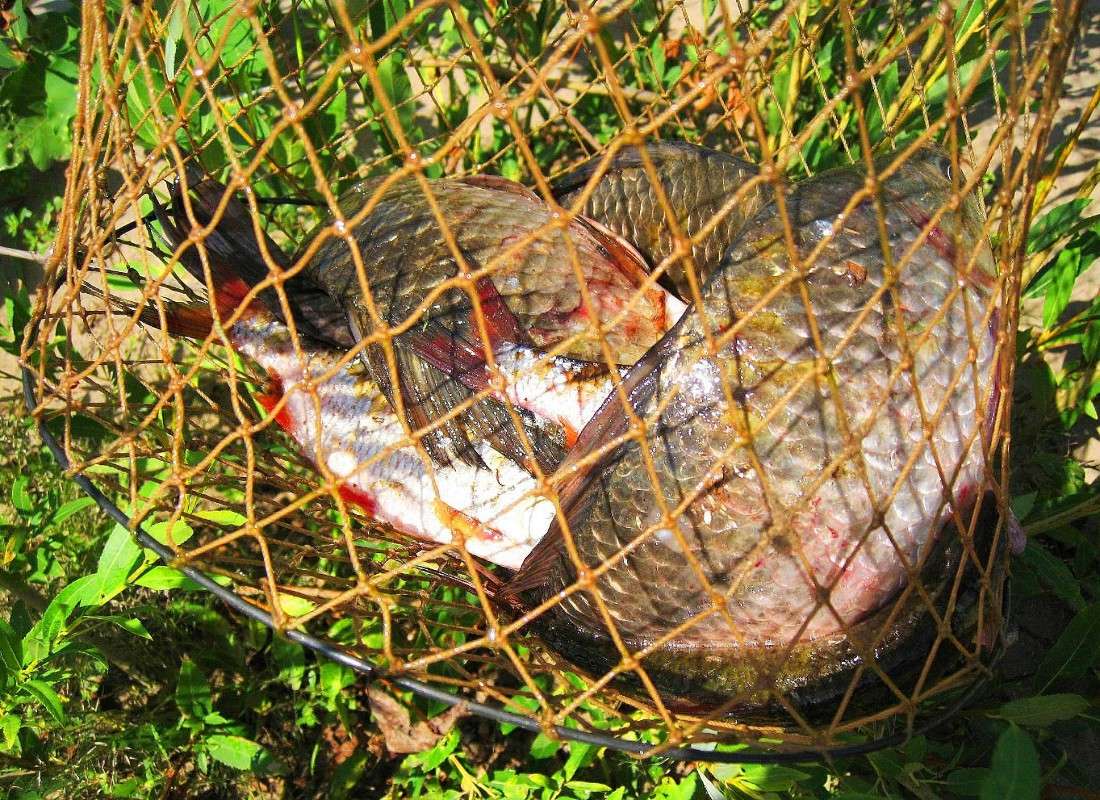 ��, ��� � �����.... )))) ����� Natali  ��������� �� PhotoGeek.ru #�������� ����������