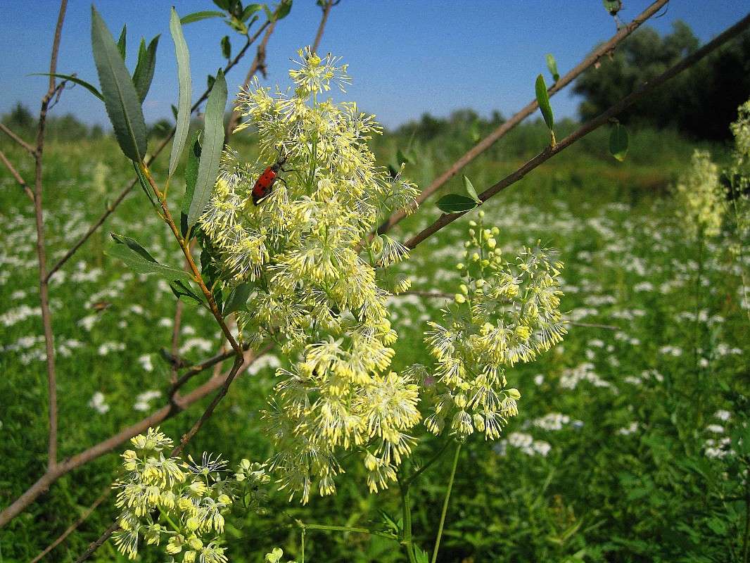 �� �������� ����� Natali  ��������� �� PhotoGeek.ru #������ ��� �������