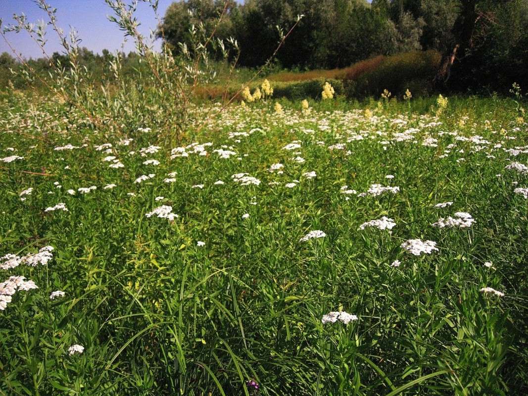 �� �������� (1) ����� Natali  ��������� �� PhotoGeek.ru #������ ��� �������