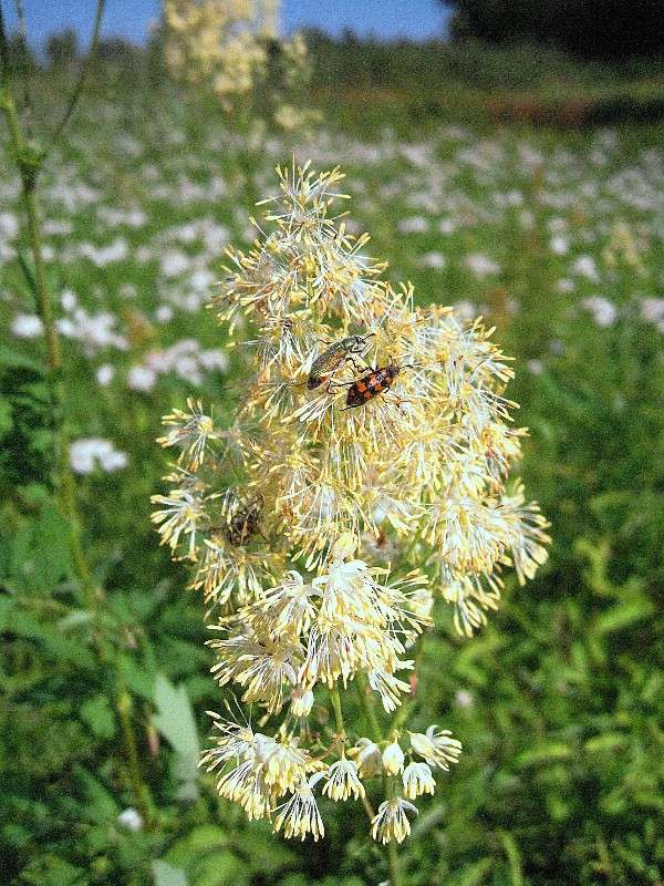 �� �������� (2) ����� Natali  ��������� �� PhotoGeek.ru #�������� ��� #������ ��� ������� #����� ��������������