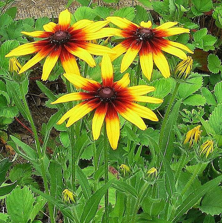 ... ����� Natali  ��������� �� PhotoGeek.ru #������ ��� ������� #����� ��������������