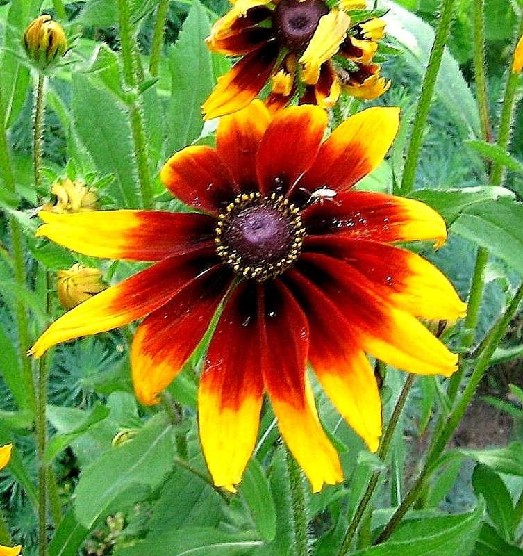 ... ����� Natali  ��������� �� PhotoGeek.ru #������ ��� ������� #����� ��������������