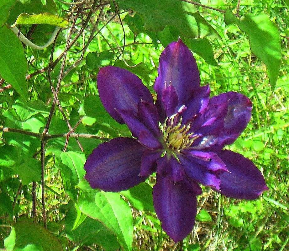 � ��������� ����. ��������. ����� Natali  ��������� �� PhotoGeek.ru #������ ��� ������� #����� ��������������