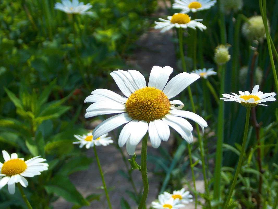 ... ����� Natali  ��������� �� PhotoGeek.ru #������ ��� ������� #����� ��������������