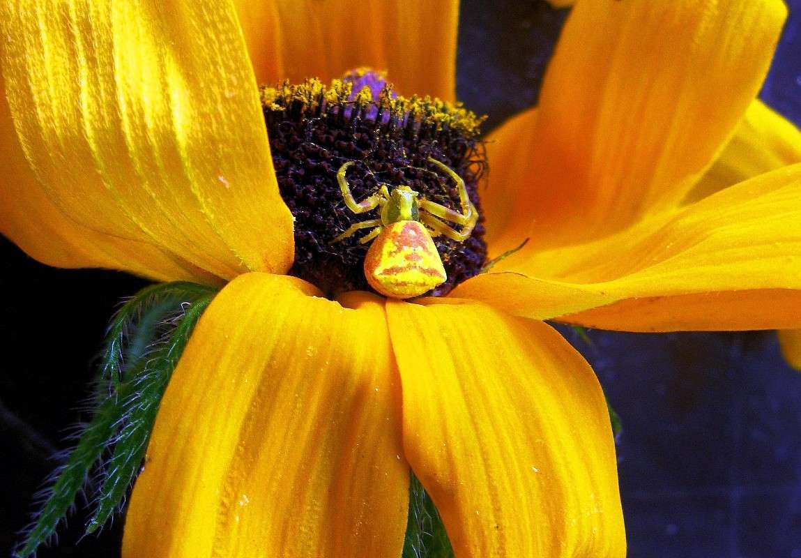 � - ���� ��������� !  ))) ����� Natali  ��������� �� PhotoGeek.ru #����� #�������� ��� #������ ��� �������