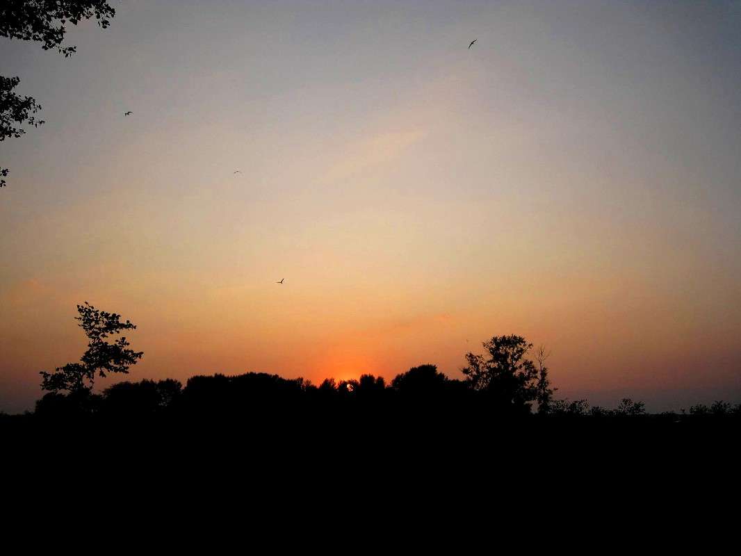 ... ����� Natali  ��������� �� PhotoGeek.ru #������ ��� �������