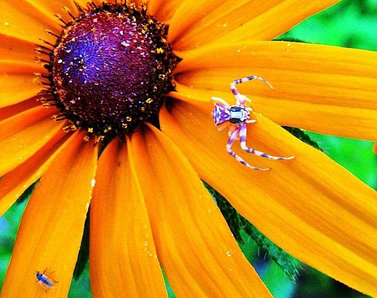 �� �����, ��� ��, � � �������� �� ���� !  ))) ����� Natali  ��������� �� PhotoGeek.ru #����� #�������� ��� #������ ��� �������