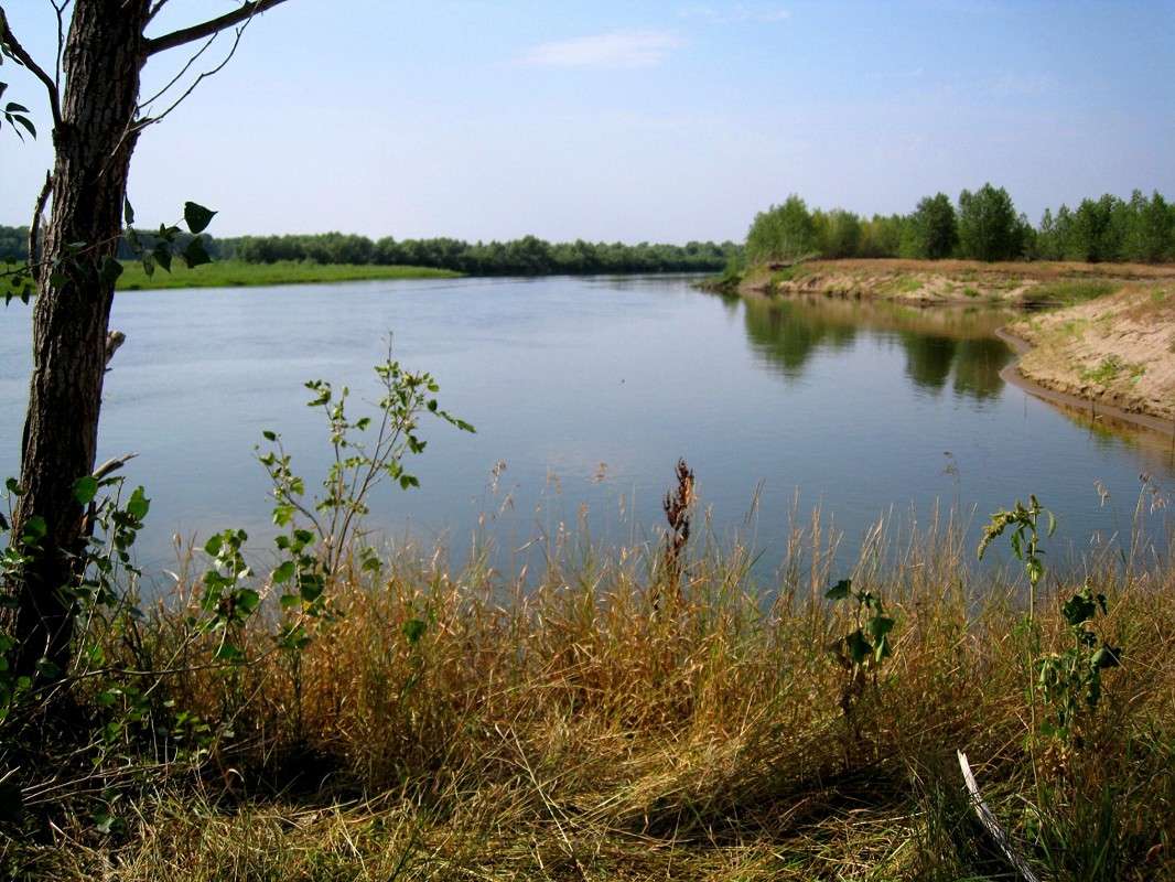 ... ����� Natali  ��������� �� PhotoGeek.ru #������ ��� �������