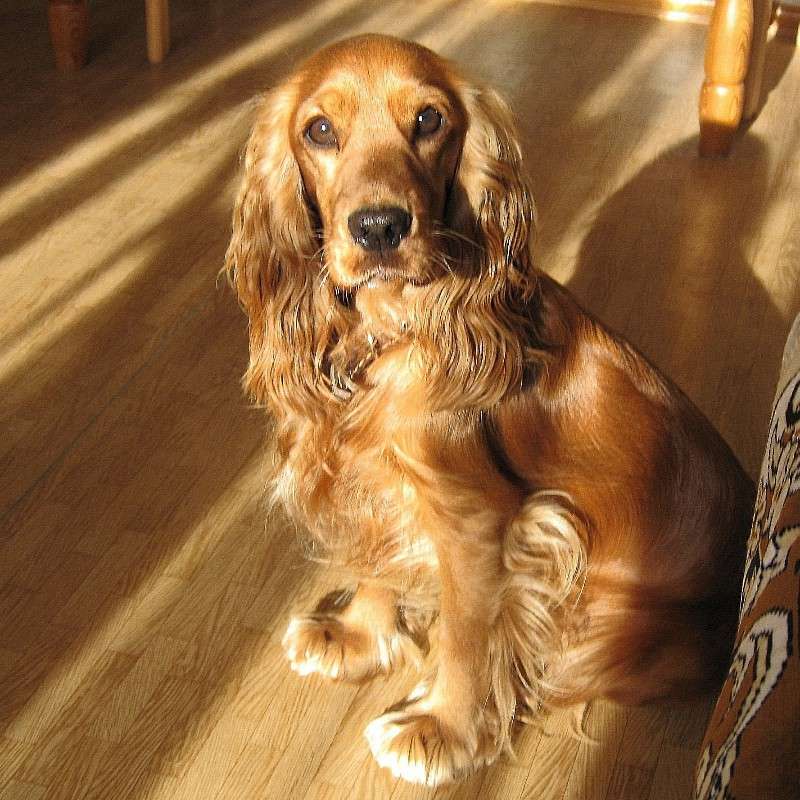 ������ ��� ������, � � �� ������ ������ ���� ! ����� Natali  ��������� �� PhotoGeek.ru #�������� ���