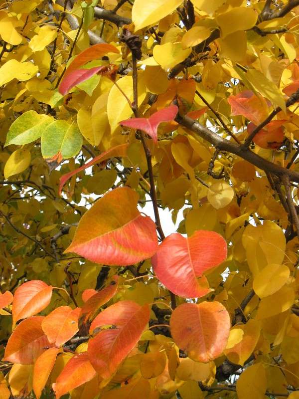 ��� ������� ����� (1). ����� Natali  ��������� �� PhotoGeek.ru #������ ��� ������� #����� ��������������