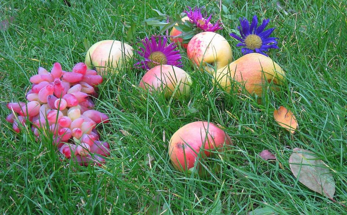 ���-��� ��� �������� ))) ����� Natali  ��������� �� PhotoGeek.ru #������ ��� ������� #����� ��������������