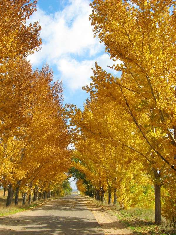 ... ����� Natali  ��������� �� PhotoGeek.ru #������ ��� �������