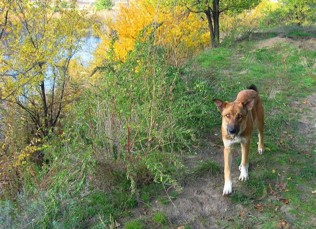 ������ � ������� ��� 