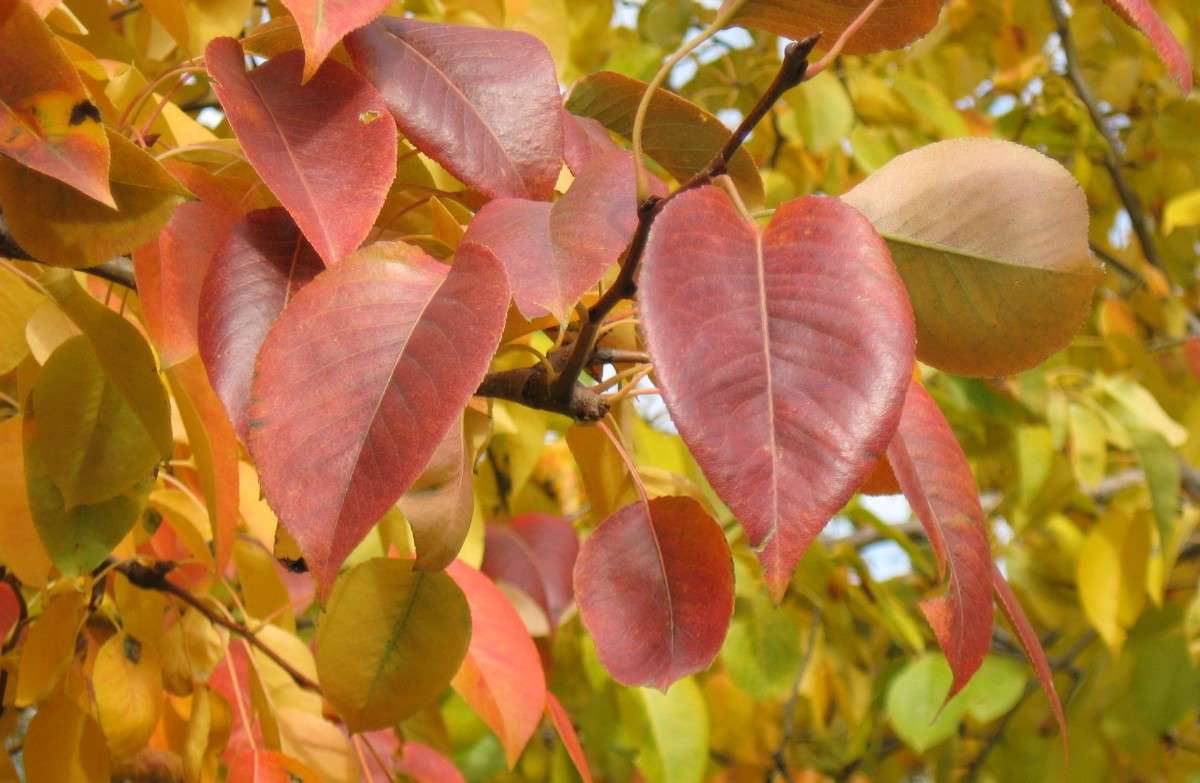 ��� ������� ����� (2). ����� Natali  ��������� �� PhotoGeek.ru #������ ��� ������� #����� ��������������