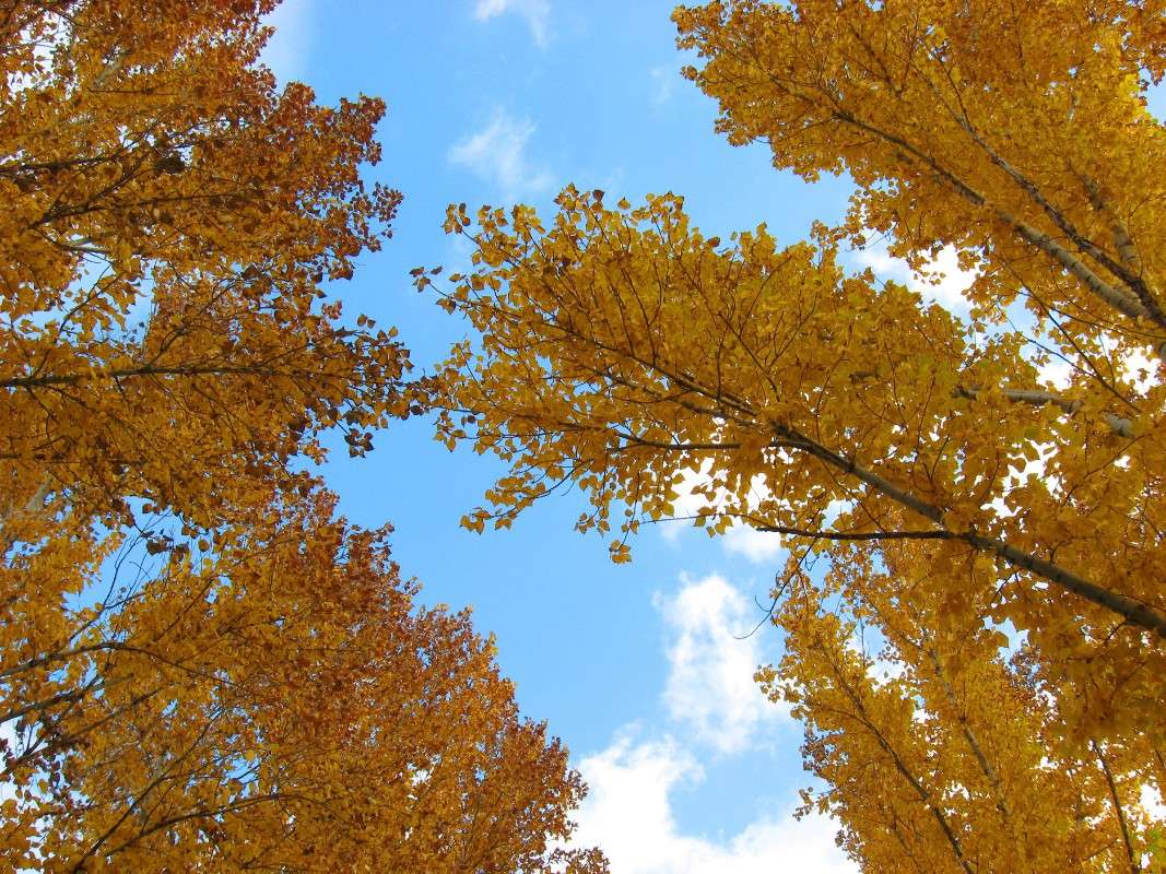 ... ����� Natali  ��������� �� PhotoGeek.ru #������ ��� ������� #����� ��������������