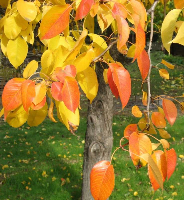 ... ����� Natali  ��������� �� PhotoGeek.ru #������ ��� �������