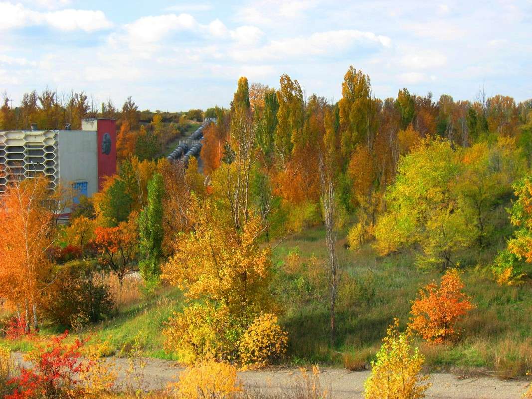 ��� � � ����. ����� Natali  ��������� �� PhotoGeek.ru #����� #������ ��� ������� #����� ��������