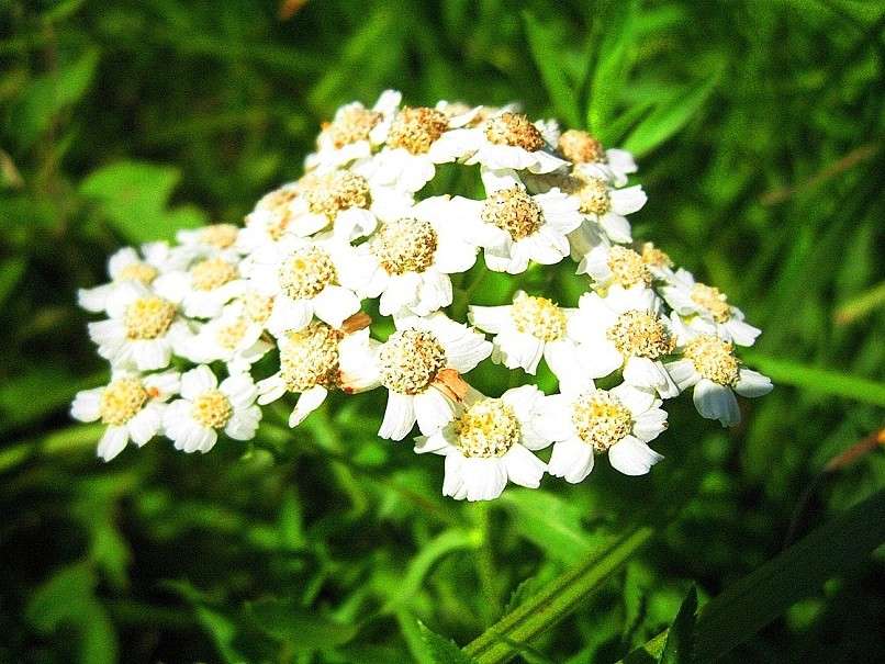 ������� ����� ����� Natali  ��������� �� PhotoGeek.ru #������ ��� ������� #����� ��������������