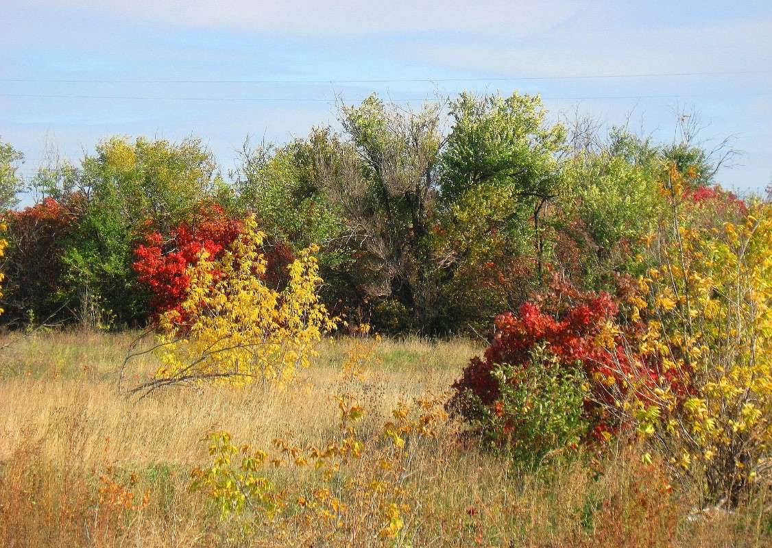 ... ����� Natali  ��������� �� PhotoGeek.ru #������ ��� ������� #����� ��������������