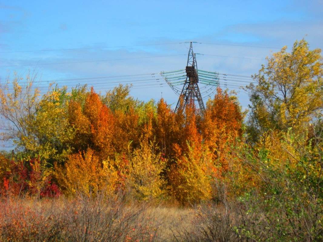 ��� ������ ��������� ....? ����� Natali  ��������� �� PhotoGeek.ru #������ ��� ������� #����� ��������������