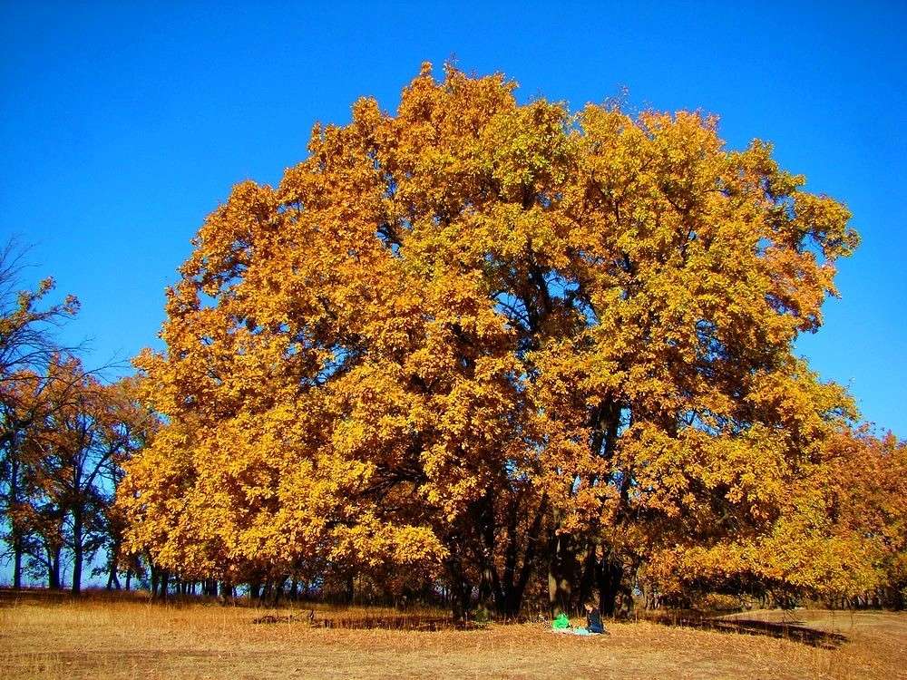 � ������� ����. �����-����������� ����� - ��������� ����. ����� Natali  ��������� �� PhotoGeek.ru #������ ��� ������� #����� ��������������