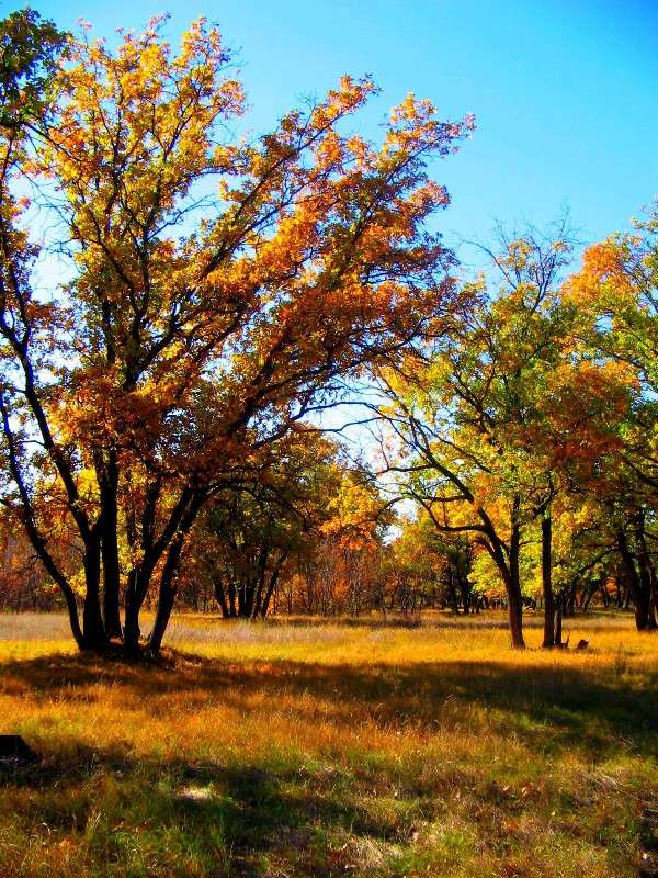 �����-����������� �����. ��������� ����. ����� Natali  ��������� �� PhotoGeek.ru #������ ��� ������� #����� ��������������