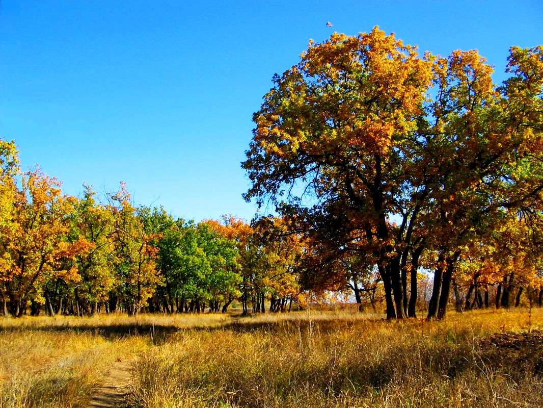 �����-����������� �����. ��������� ����. ����� Natali  ��������� �� PhotoGeek.ru #������ ��� �������