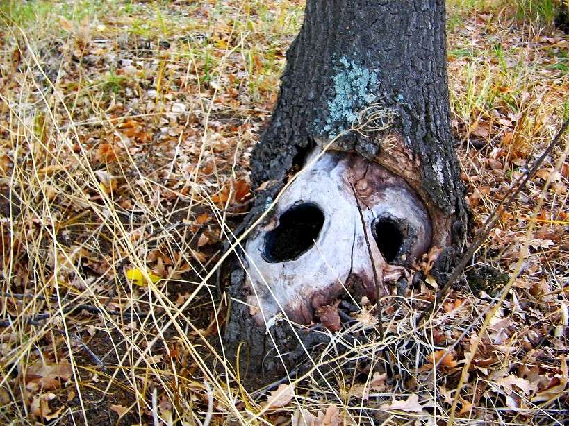 ... ����� Natali  ��������� �� PhotoGeek.ru #������ ��� ������� #����� ��������������