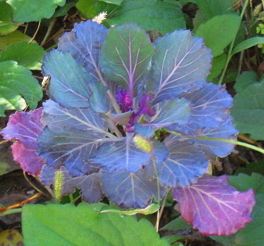 ... ����� Natali  ��������� �� PhotoGeek.ru #������ ��� ������� #����� ��������������