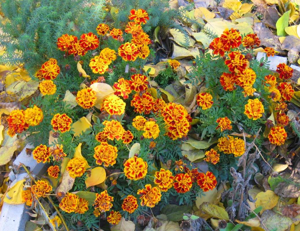 ���-��� ��������� ������...... ����� Natali  ��������� �� PhotoGeek.ru #������ ��� ������� #����� ��������������