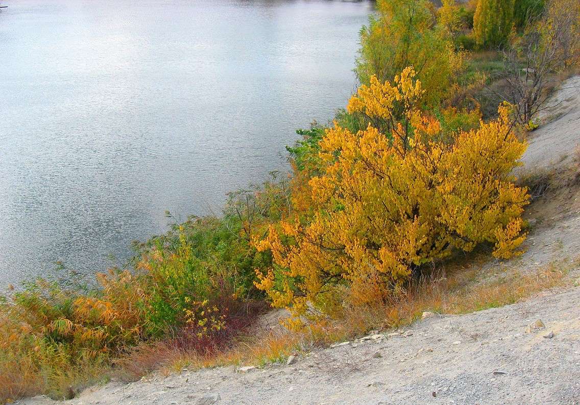 ... ����� Natali  ��������� �� PhotoGeek.ru #������ ��� ������� #����� ��������������