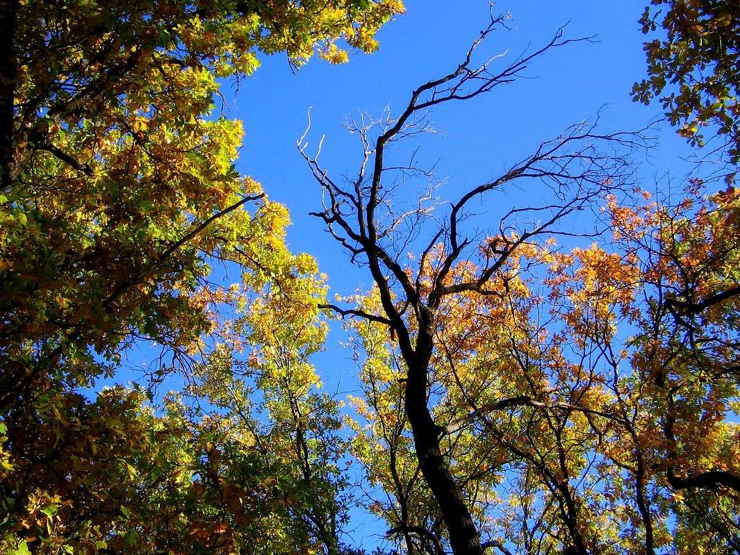 ... ����� Natali  ��������� �� PhotoGeek.ru #������ ��� ������� #����� ��������������