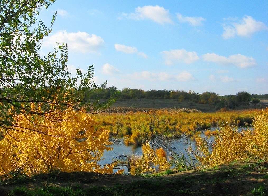 ... ����� Natali  ��������� �� PhotoGeek.ru #������ ��� �������