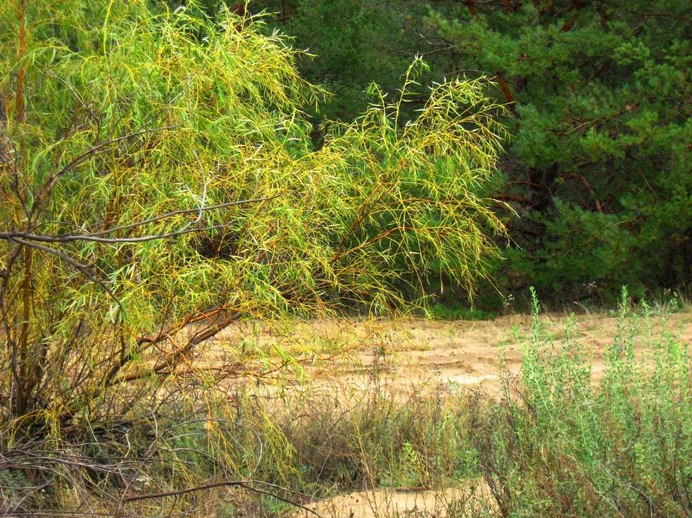 ��� ����� �� ����� ? (1) ����� Natali  ��������� �� PhotoGeek.ru #������ ��� ������� #����� �������������� #����� ��������